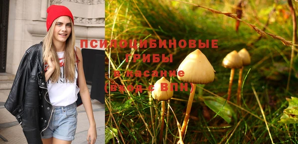 мяу мяу кристалл Каменка